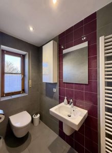 Gäste-WC mit Dusche